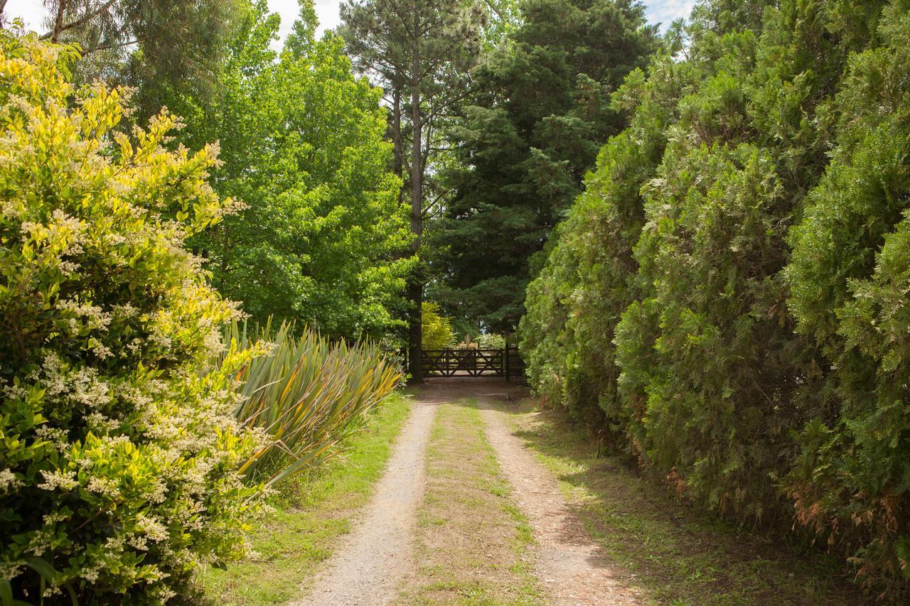 La Chacra - Hotel De Campo & Spa San Pedro  Kültér fotó